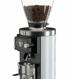 Mahlkönig E65W GBS